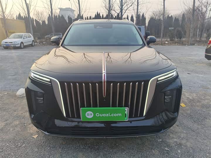 Фото 3 - Hongqi E-HS9