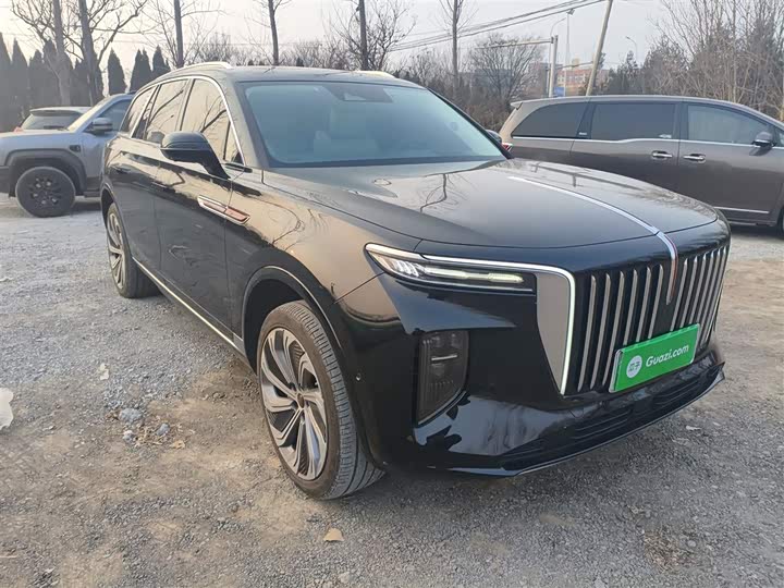 Фото 4 - Hongqi E-HS9
