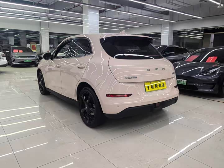 Фото 5 - Ora Good Cat (03)