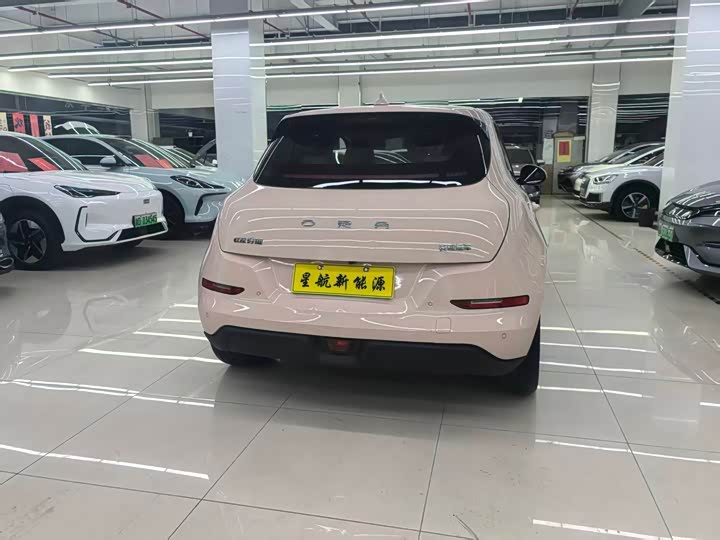 Фото 6 - Ora Good Cat (03)