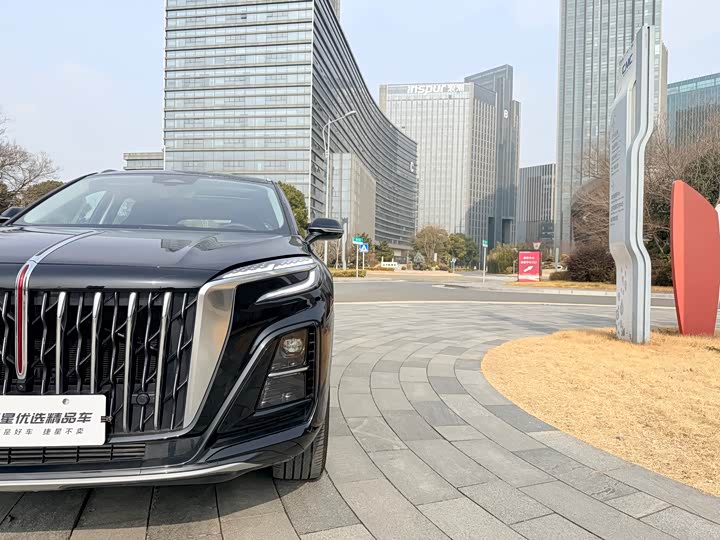 Фото 4 - Hongqi HS3 Hybrid