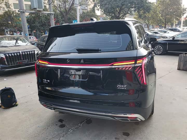 Фото 6 - Hongqi HS7 Hybrid