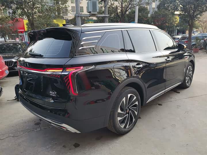 Фото 7 - Hongqi HS7 Hybrid