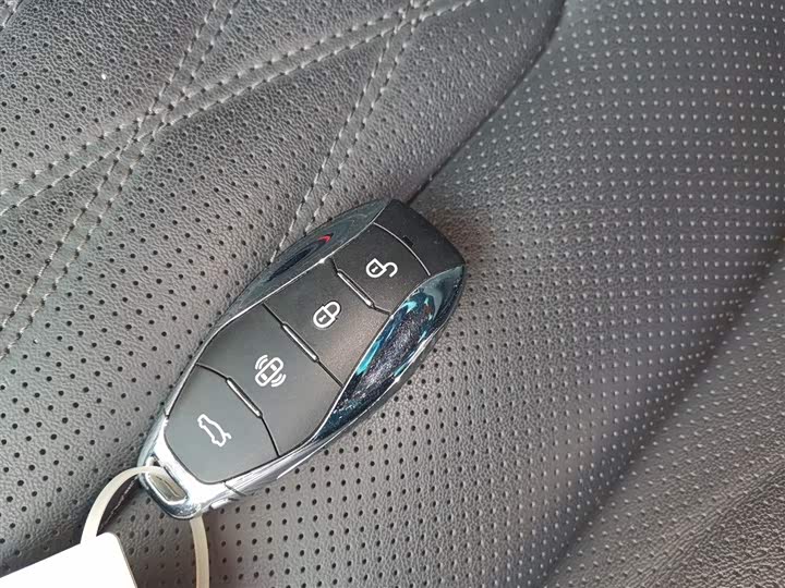 Фото 9 - Hongqi HS7 Hybrid