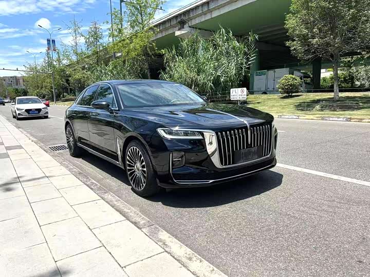Фото 3 - Hongqi H9