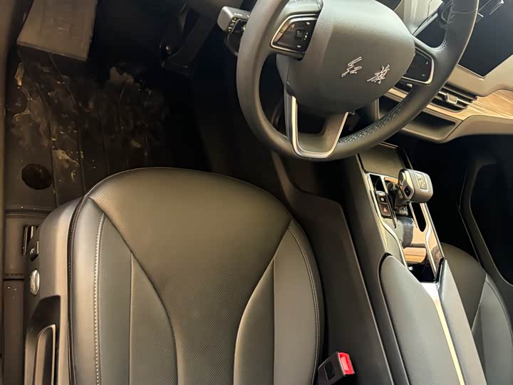 Фото 4 - Hongqi E-QM5