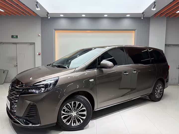 Фото 1 - Buick GL8 ES