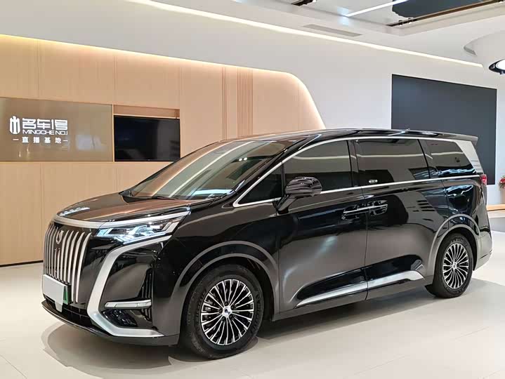 Фото 1 - Denza D9