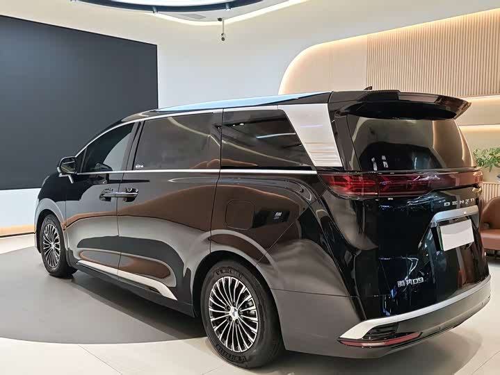 Фото 5 - Denza D9