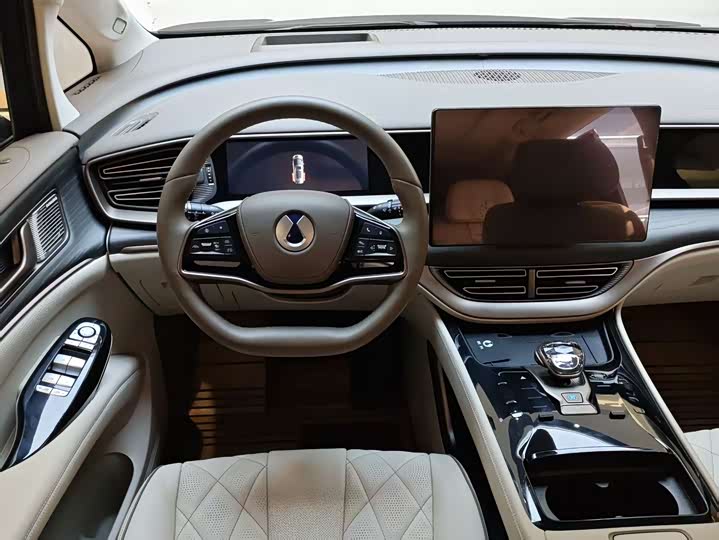 Фото 8 - Denza D9