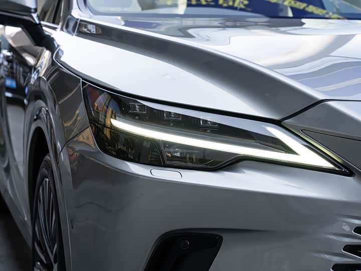 Фото 6 - Lexus RX Hybrid