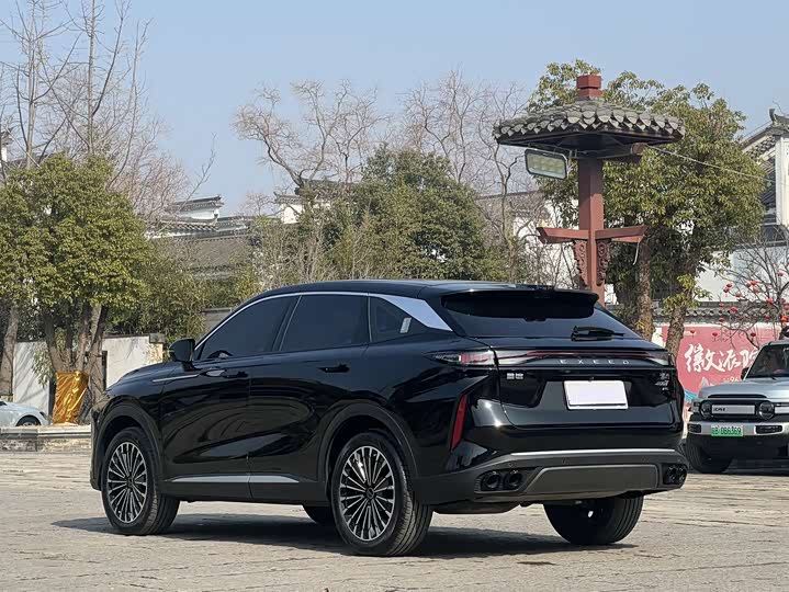 Фото 4 - Exeed RX