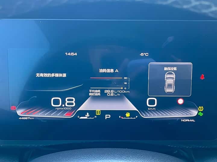 Фото 4 - Haval Dargo