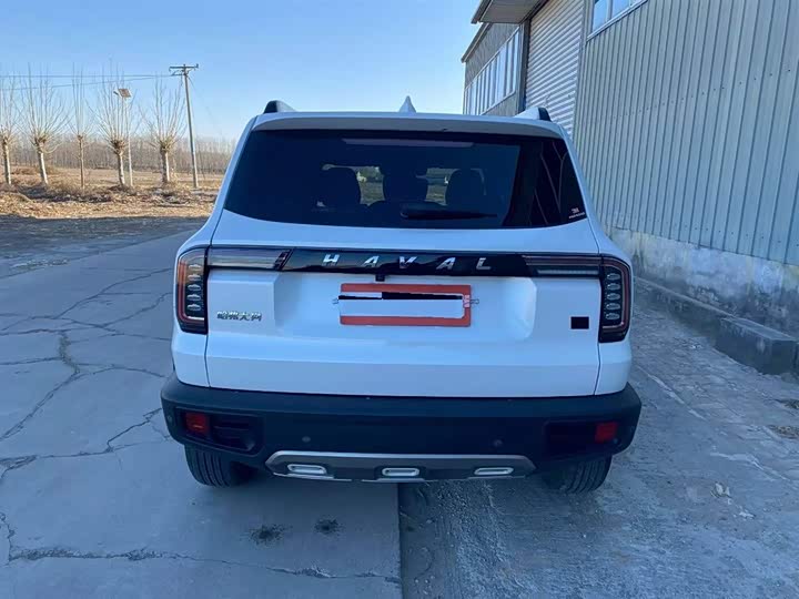 Фото 7 - Haval Dargo
