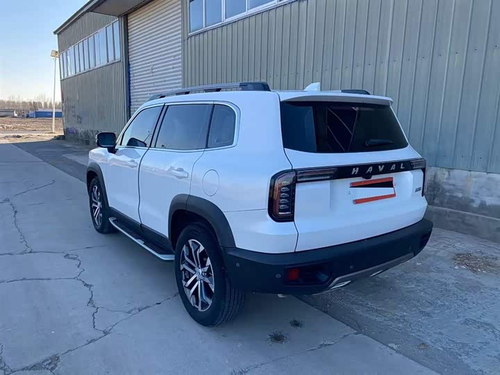 Фото 8 - Haval Dargo