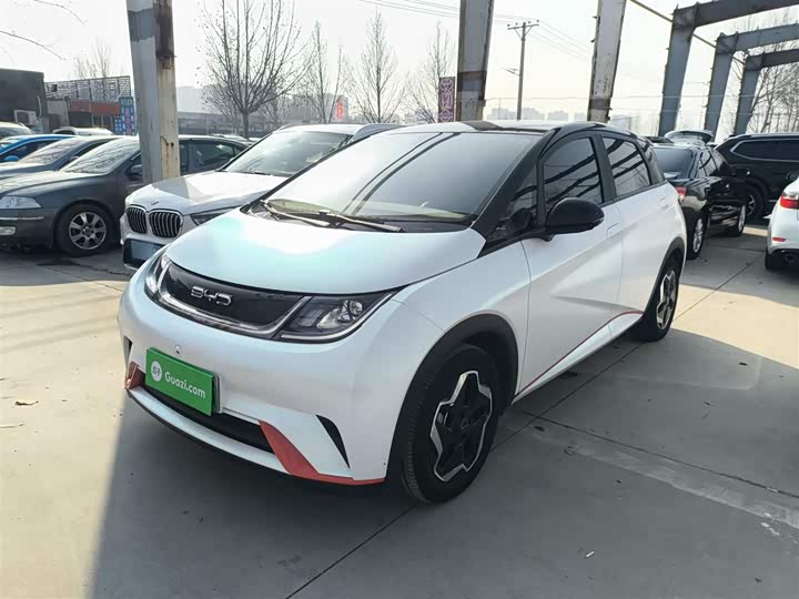 Фото 1 - BYD Dolphin