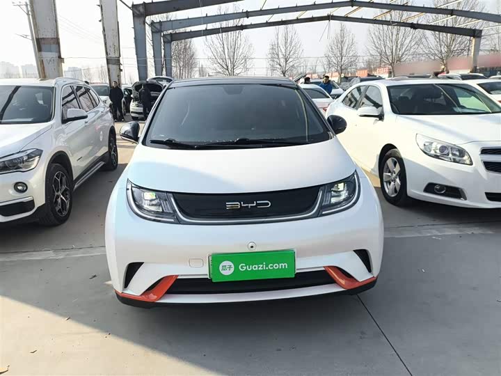 Фото 3 - BYD Dolphin