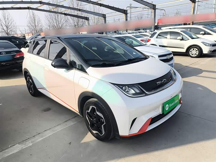 Фото 4 - BYD Dolphin