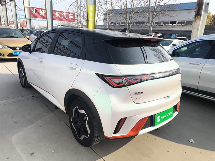 Фото 5 - BYD Dolphin