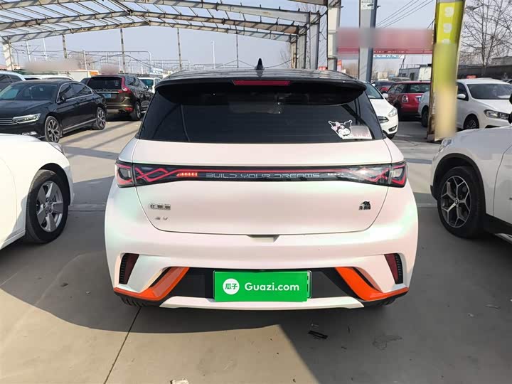 Фото 6 - BYD Dolphin