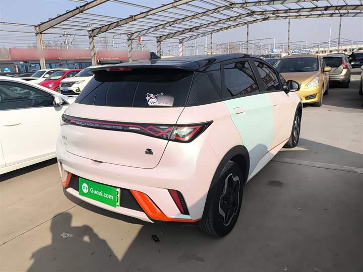 Фото 7 - BYD Dolphin