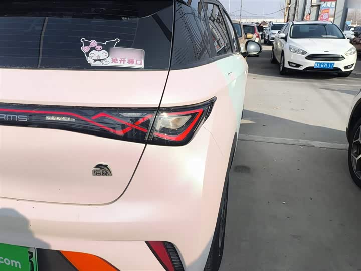 Фото 8 - BYD Dolphin