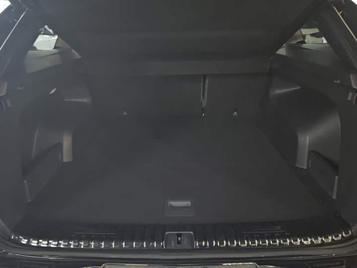 Фото 4 - Volkswagen Tavendor