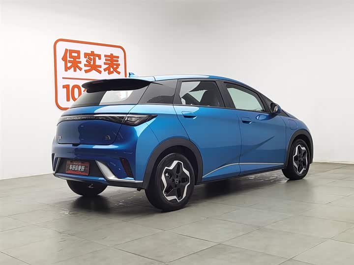 Фото 2 - BYD Dolphin