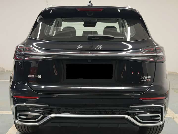 Фото 7 - Hongqi HS5