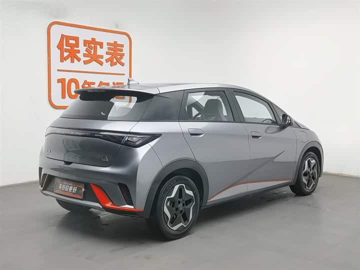 Фото 2 - BYD Dolphin