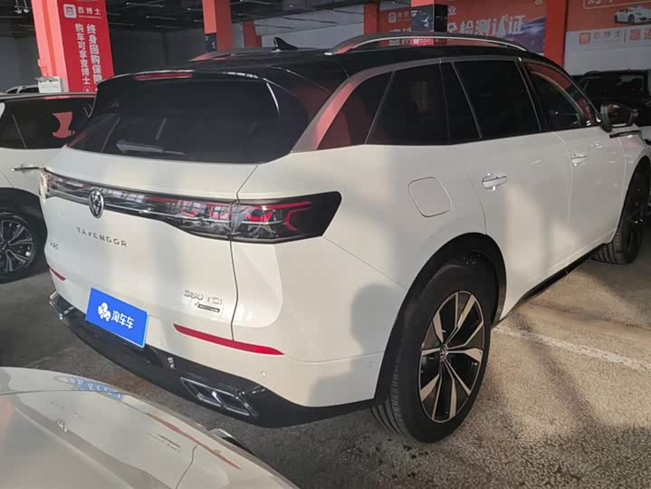 Фото 3 - Volkswagen Tavendor