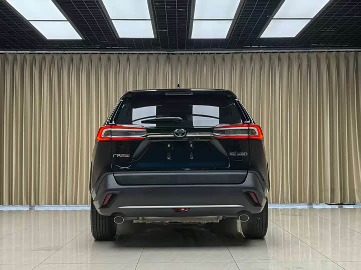 Фото 4 - Toyota Wildlander