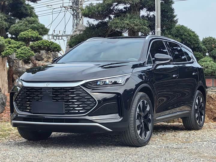 Фото 1 - BYD Tang Hybrid/EV