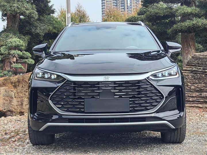 Фото 2 - BYD Tang Hybrid/EV