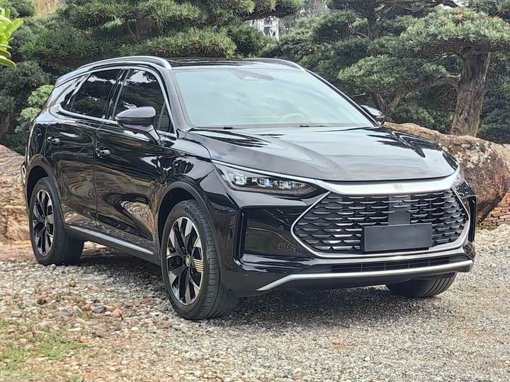 Фото 4 - BYD Tang Hybrid/EV