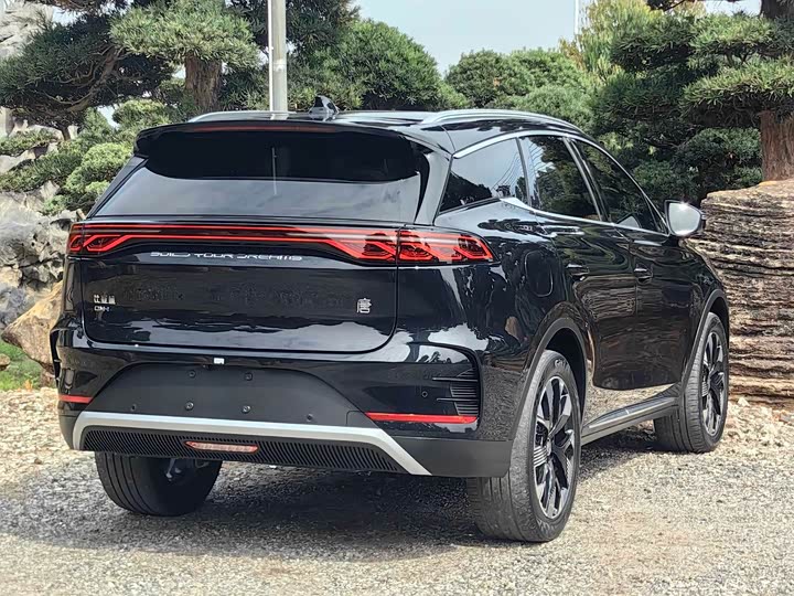 Фото 7 - BYD Tang Hybrid/EV