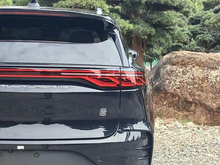 Фото 9 - BYD Tang Hybrid/EV