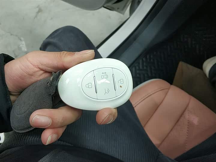 Фото 9 - BAIC Arcfox Kaola