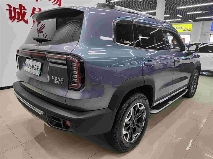 Фото 4 - Haval Dargo