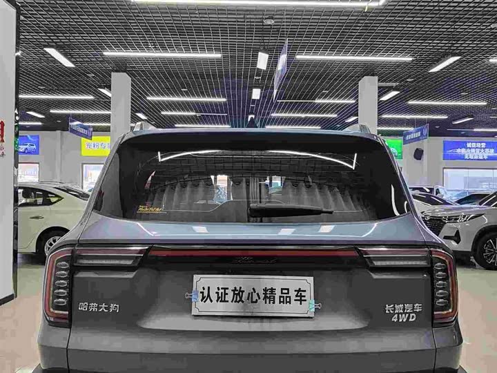 Фото 5 - Haval Dargo