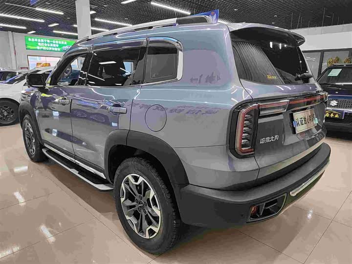 Фото 6 - Haval Dargo