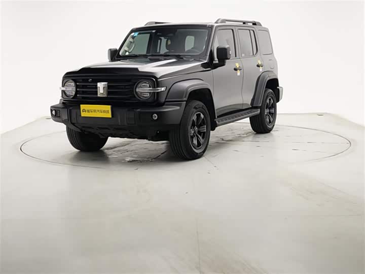 Фото 2 - Tank 300