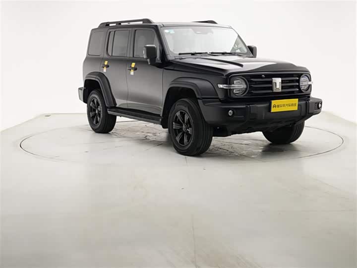 Фото 4 - Tank 300