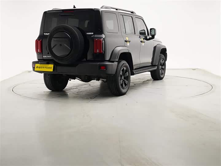 Фото 8 - Tank 300