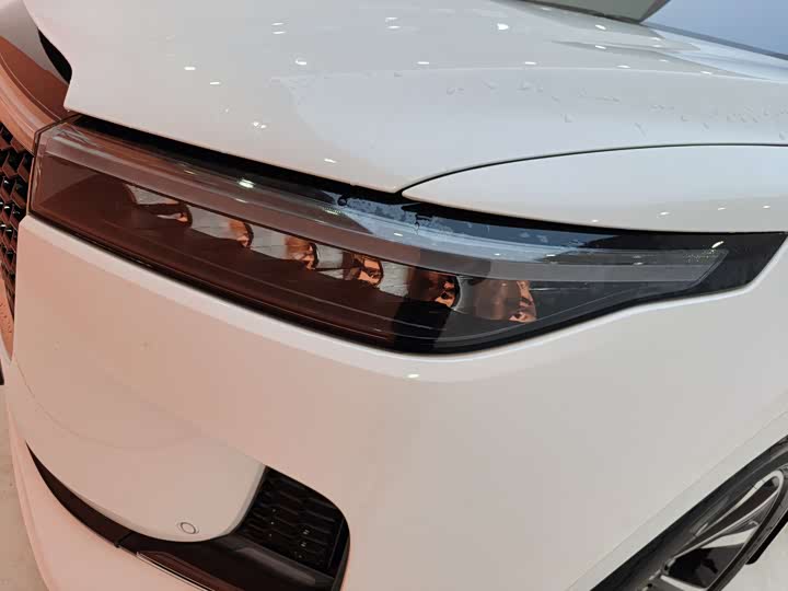 Фото 9 - LiXiang One