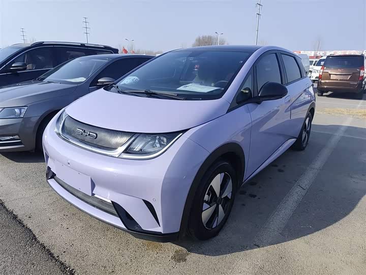 Фото 1 - BYD Dolphin