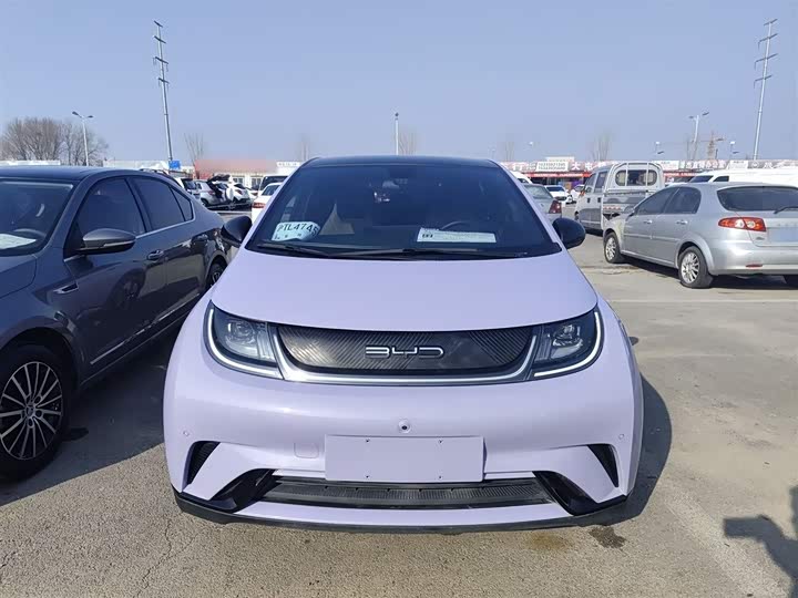 Фото 3 - BYD Dolphin