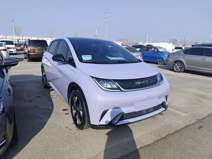 Фото 4 - BYD Dolphin