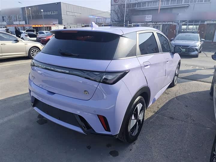 Фото 7 - BYD Dolphin