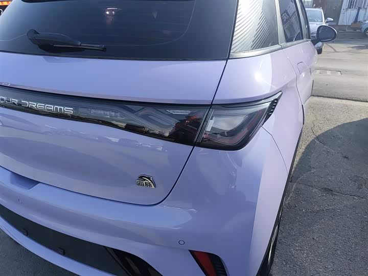 Фото 8 - BYD Dolphin